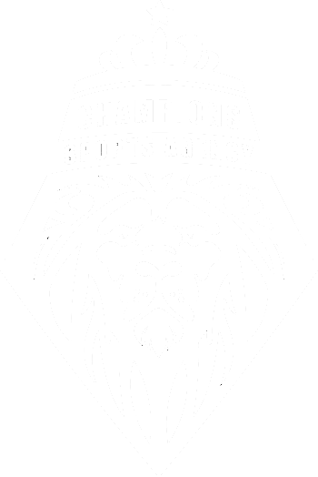 Sportify logo